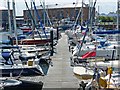 Milford Haven Marina