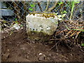 WD No.3 boundary marker, Hospital Road, Omagh