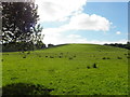 A low hill, Clogher Tenements