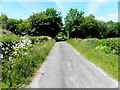 Road at Ballymacan