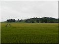 Farmland below Laws Farm