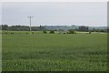 Wheat, East Mains of Guthrie