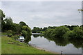 The River Ure at Langthorpe