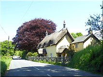 SS6041 : Thatched house near Arlington Court by David Smith