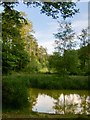 Pond in the Hurtwood