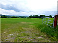 An open field, Tamnagh