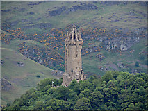 NS8095 : The National Wallace Monument by Thomas Nugent