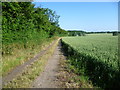 Track seen from Hastingwood Road