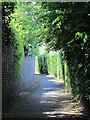 Footpath between the New River and Broomer Place, EN8