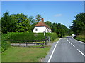 Hobbs Cross Road approaching Spiers Farm