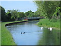 The New River south of Church Lane, EN8 (3)