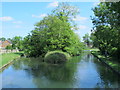 Island in the New River north of Church Lane, EN8