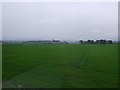 View across a field to Borrowfield Farm