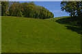 Woods and pasture, east side of the valley of Afon Carno