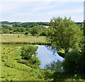 River Test, Stockbridge, Hampshire