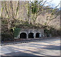 TWQ disused  limekilns, Taffs Well