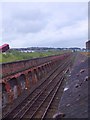 Railway cutting beside Camperdown St, Dundee