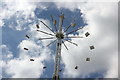 SJ7177 : Sky Swing at the Cheshire Show by Jeff Buck