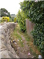 Footpath - Fell Lane