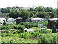 Allotments between the New River and the Great Cambridge Road (A10)