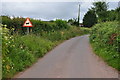 Mid Devon :  Country Lane