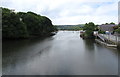 Downstream along the Afon Teifi, Cardigan