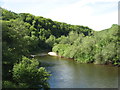 The River Wye from Biblins Bridge