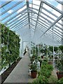 SU8612 : West Dean - One of the glasshouses by Rob Farrow
