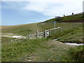 Footpath Sign, West High Down