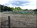 Lampton Park allotments