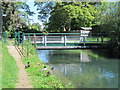 Footbridge over the New River by Huntingdon Close, EN10