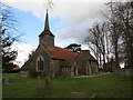 The Church of St Mary at Stapleford Tawney