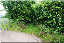 SJ9216 : Bridleway near Dunston by Bill Boaden