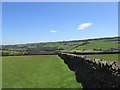 Wallside footpath.