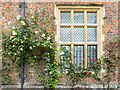 Roses on Wall at North Mymms Park, Hertfordshire