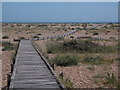 TR0916 : Dungeness: boardwalk to the beach by Chris Downer