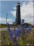TR0816 : Dungeness: the old lighthouse by Chris Downer