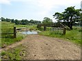 Ford and footbridge at Skirden Beck