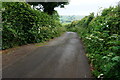 Bourton Lane, Totnes