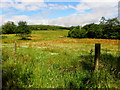 Greenan Townland