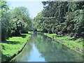 The New River by Church Lane Allotment (4)