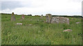 Aquhorthies Recumbent Stone Circle (5)