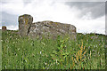 Aquhorthies Recumbent Stone Circle (6)