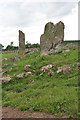 Old Bourtreebush Stone Circle (5)