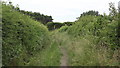 Public footpath near Newbold Verdon