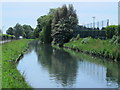 The New River by Mill Lane Allotment (3)