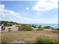 Beach vegetation at Aldwick (2)