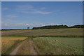 Track over fields, near Clieves Hill, Aughton