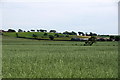 SD3808 : Shepherd's Farm from Halsall Lane, Halsall by Mike Pennington