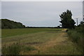 Fields at the end of Broad Lane, Formby Moss